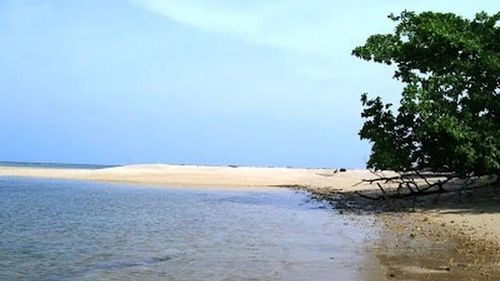 Pantai Tanjung Menjangan