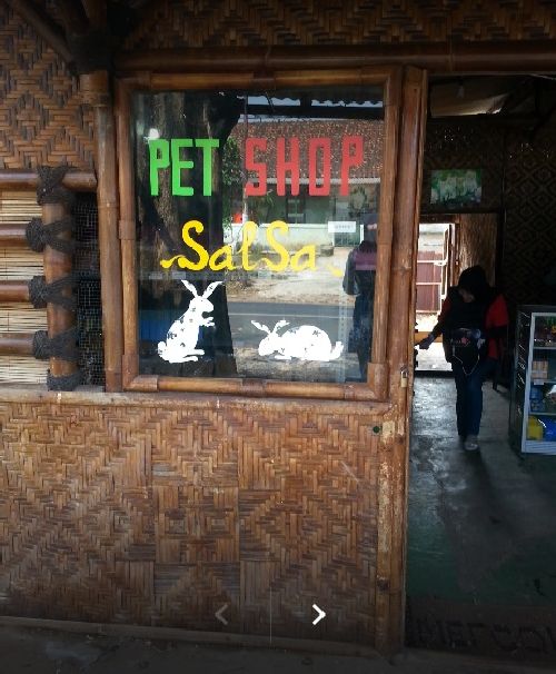 Pet Shop Salsa